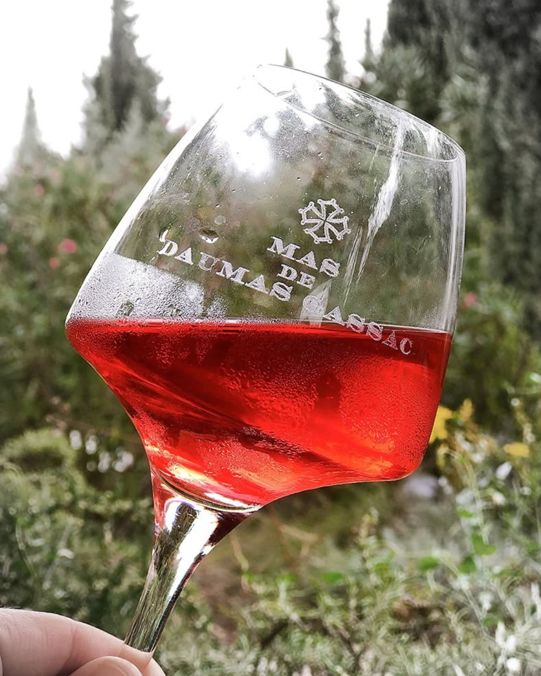 The Magic of Mas de Daumas Gassac – “Only Grand Cru of the Midi”