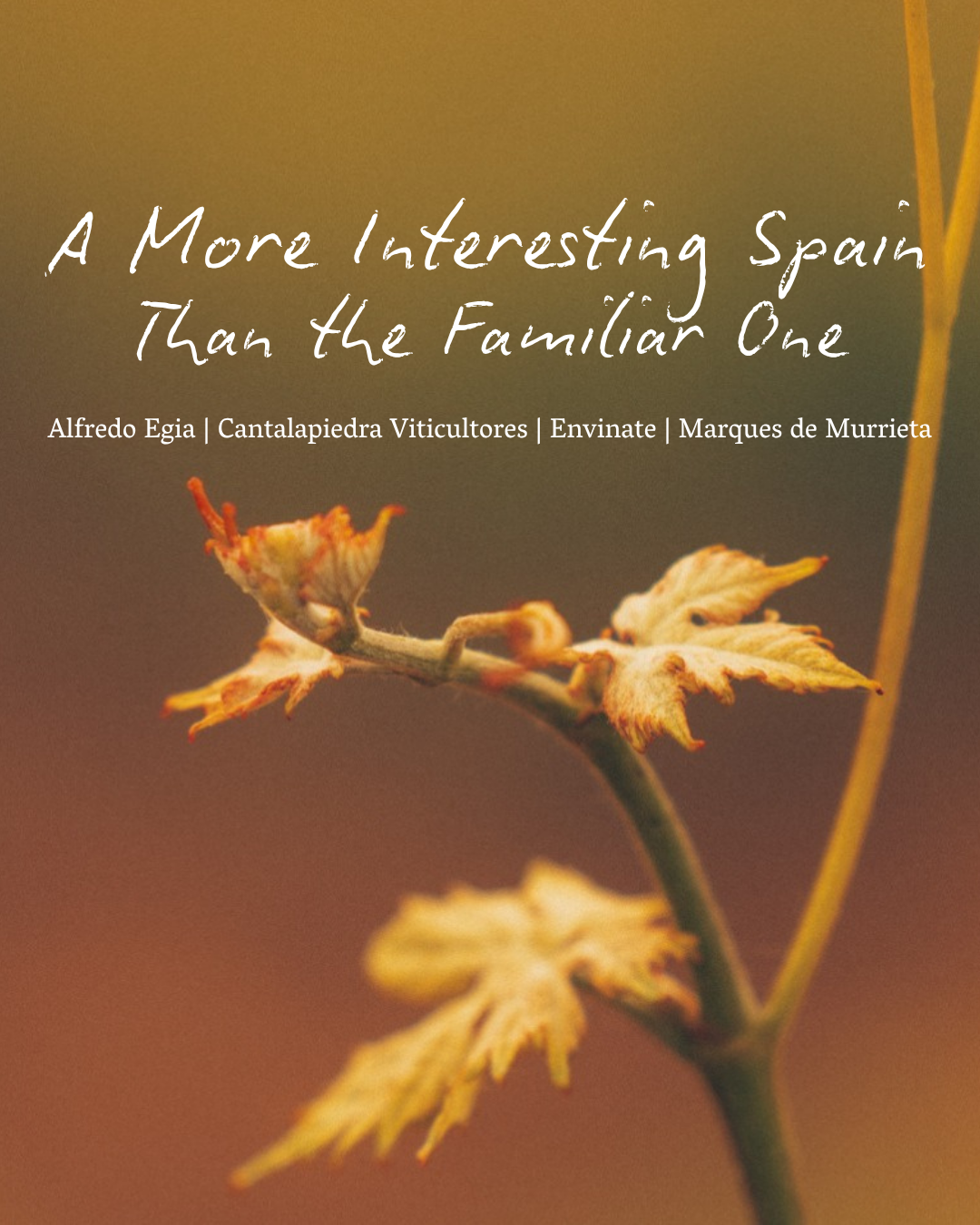 5 Spanish Wines — A More Interesting Spain Than the Familiar One