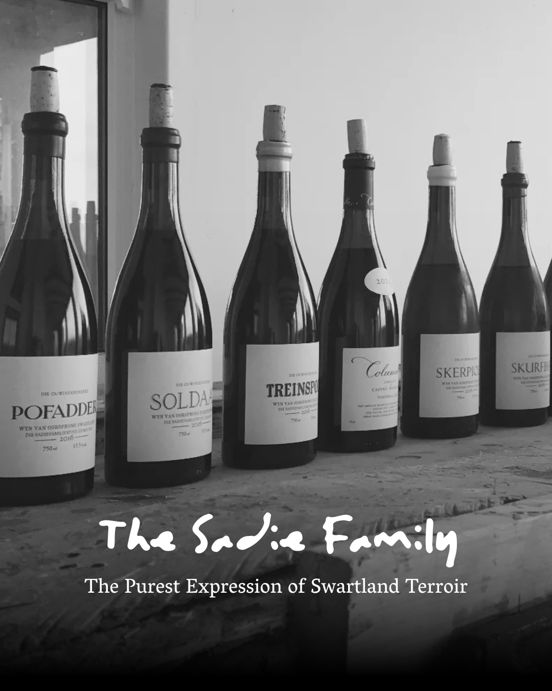 Sadie Family Wines: The Purest Expression of Swartland Terroir