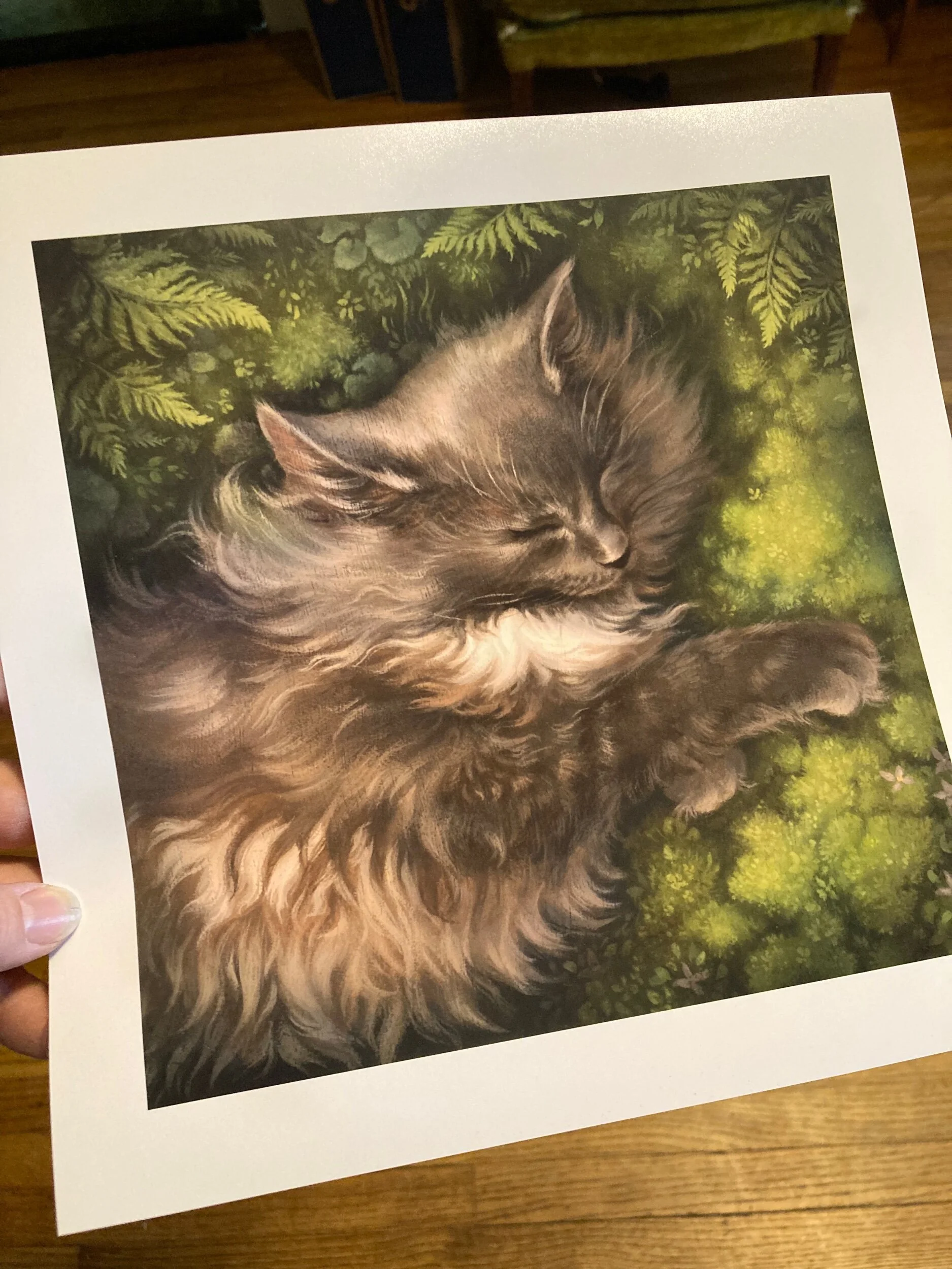 CC89AEB4-D214-4E56-AF20-428DCD11DC53