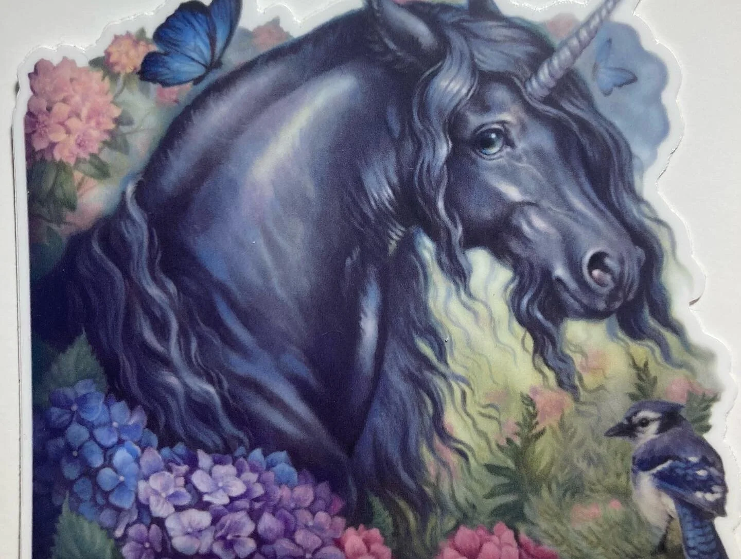 9C10F1B5-FB40-4692-BC63-86ED2D9C86D9