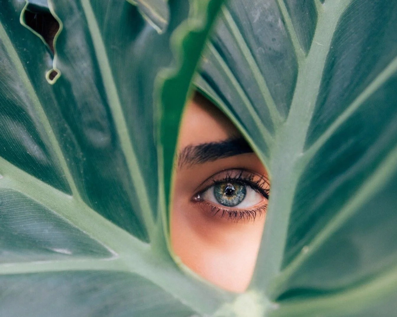 Lashpower Nyc Eyelash Extentions & Keratin Lashlift ,tinting