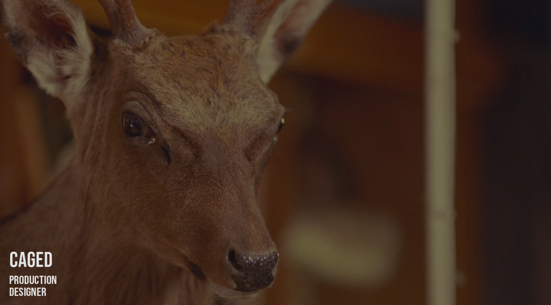 Caged 03withtitle.png