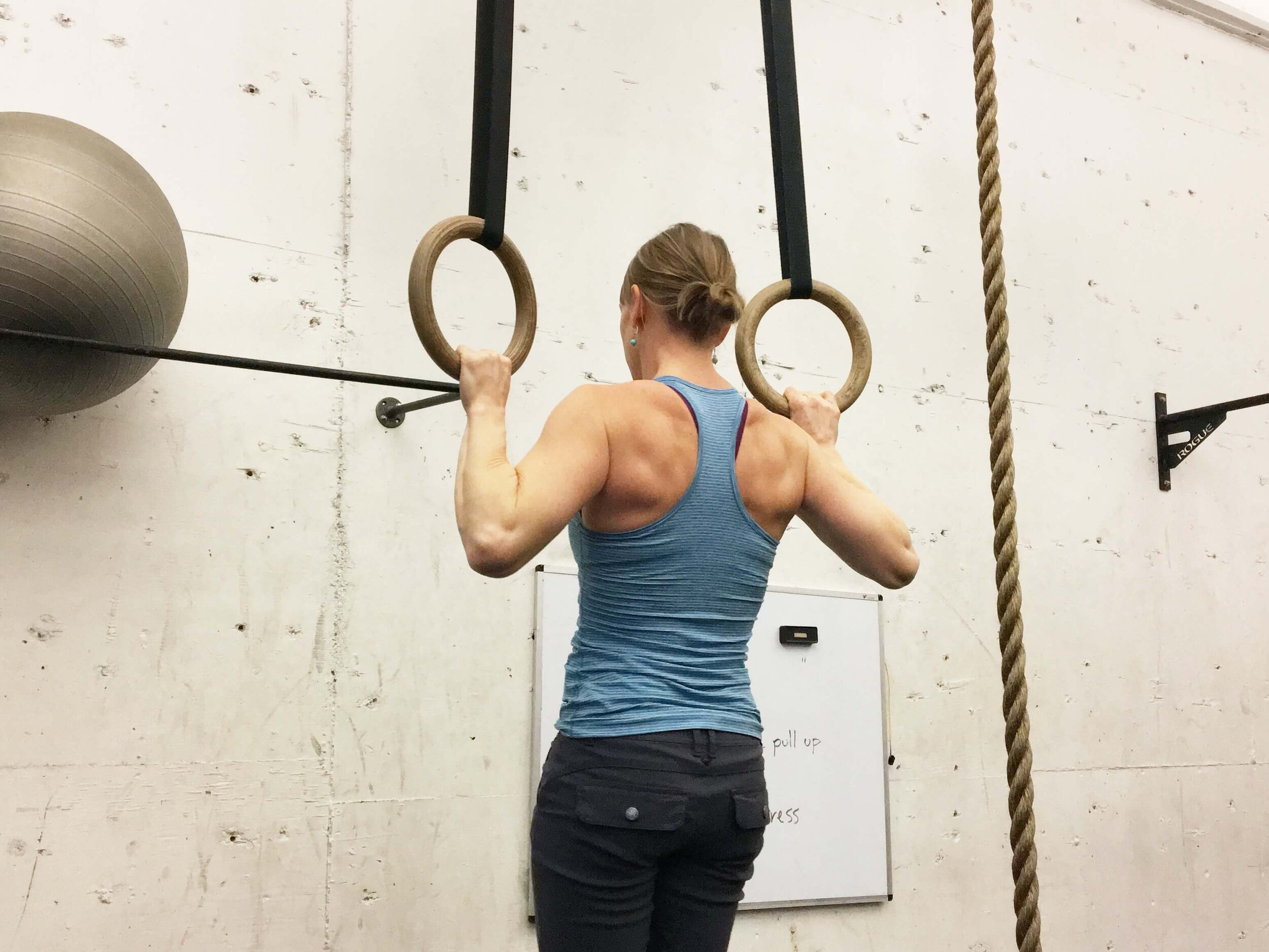FH Pro Wall Mounted Pull Up Bar w/Gymnastic Rings 