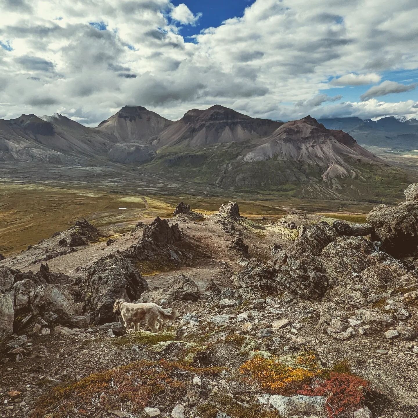 Did you know that the V&iacute;knasl&oacute;&eth;ir wilderness sports over 100 miles of trails? It's the most stacked recreation area in the whole country! There is no better way to enjoy the natural beauty of East Iceland than coming over and joinin