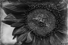 d0974aa52007d69b505777d9b44c2c3d.jpg