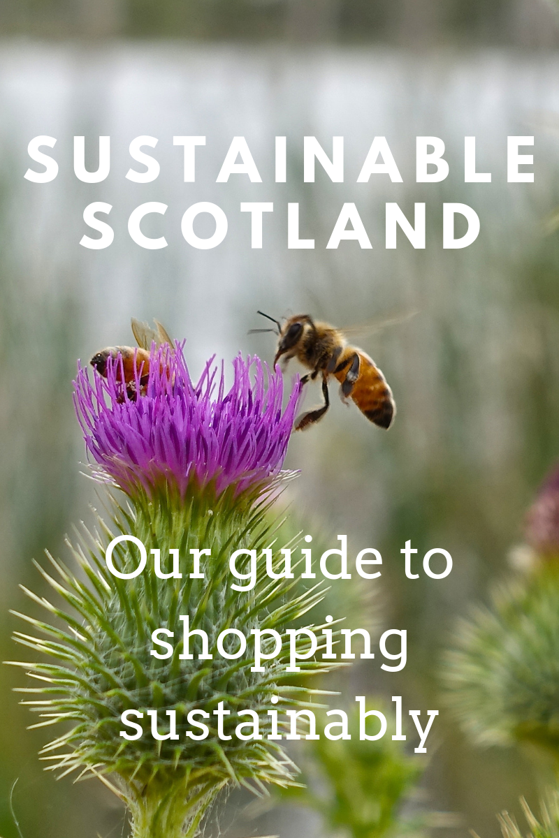 Sustainable Scotland.png