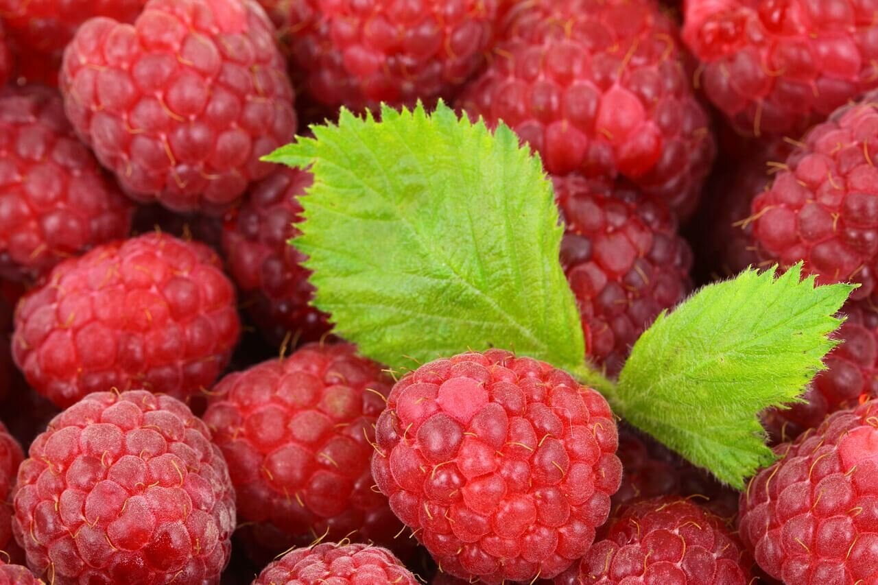 raspberry-tiny.jpg