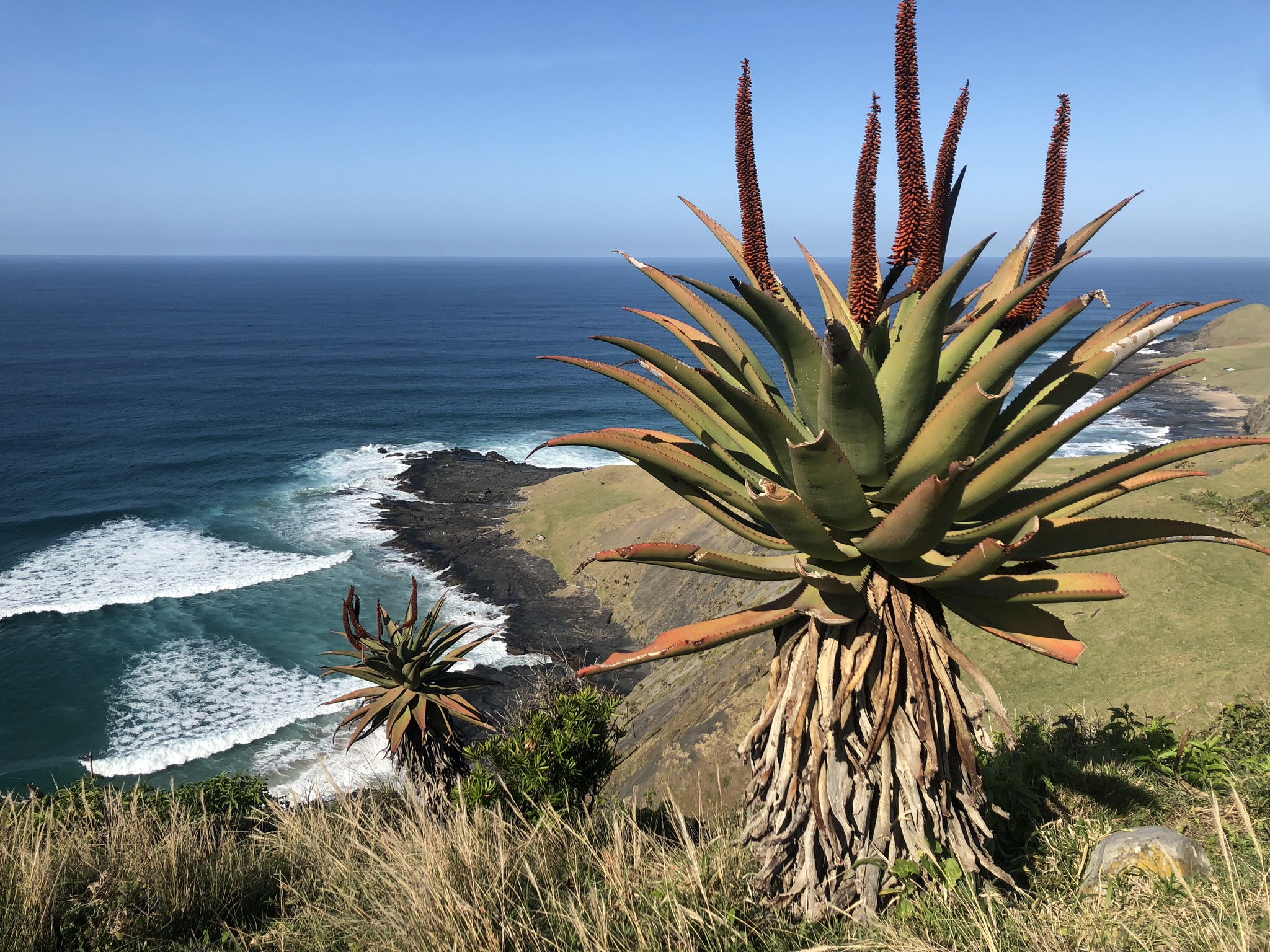 South Africa - With Bikes