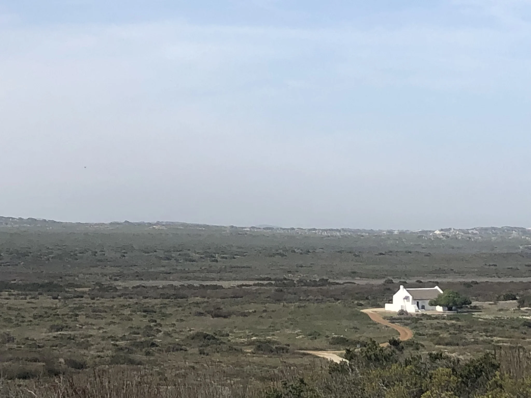  When you do an extreme zoom on iphone it sometimes gives the affect of looking like a painting, small coastal cottage 