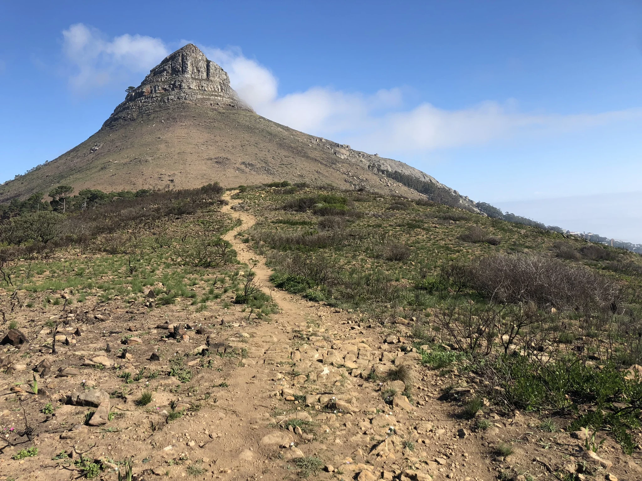  Climbing the Lions Head 