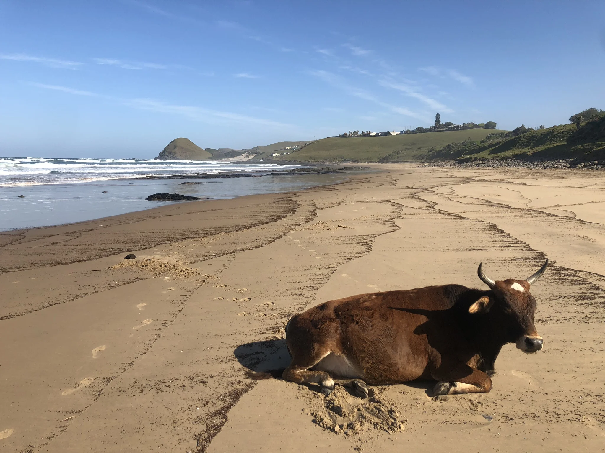  Get a job you lay-about  