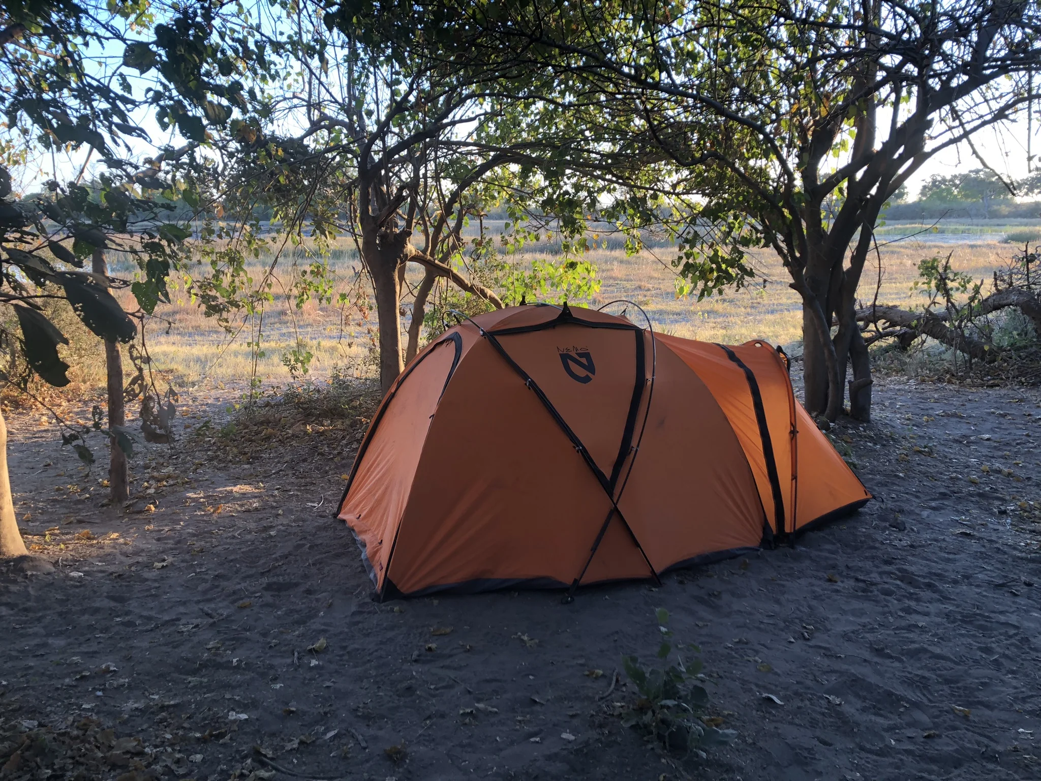  Camping in Lion-land 