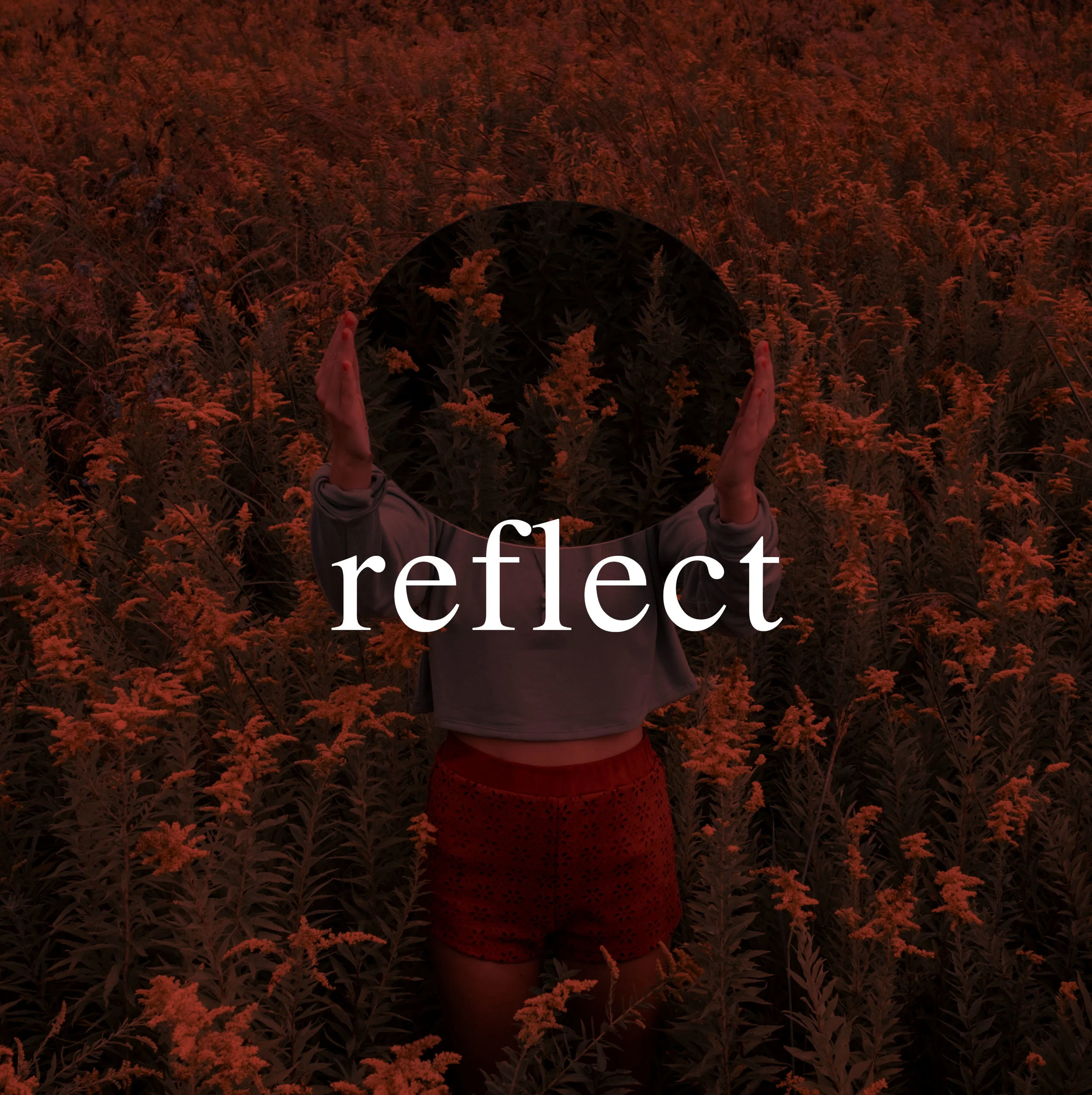 "Reflect"