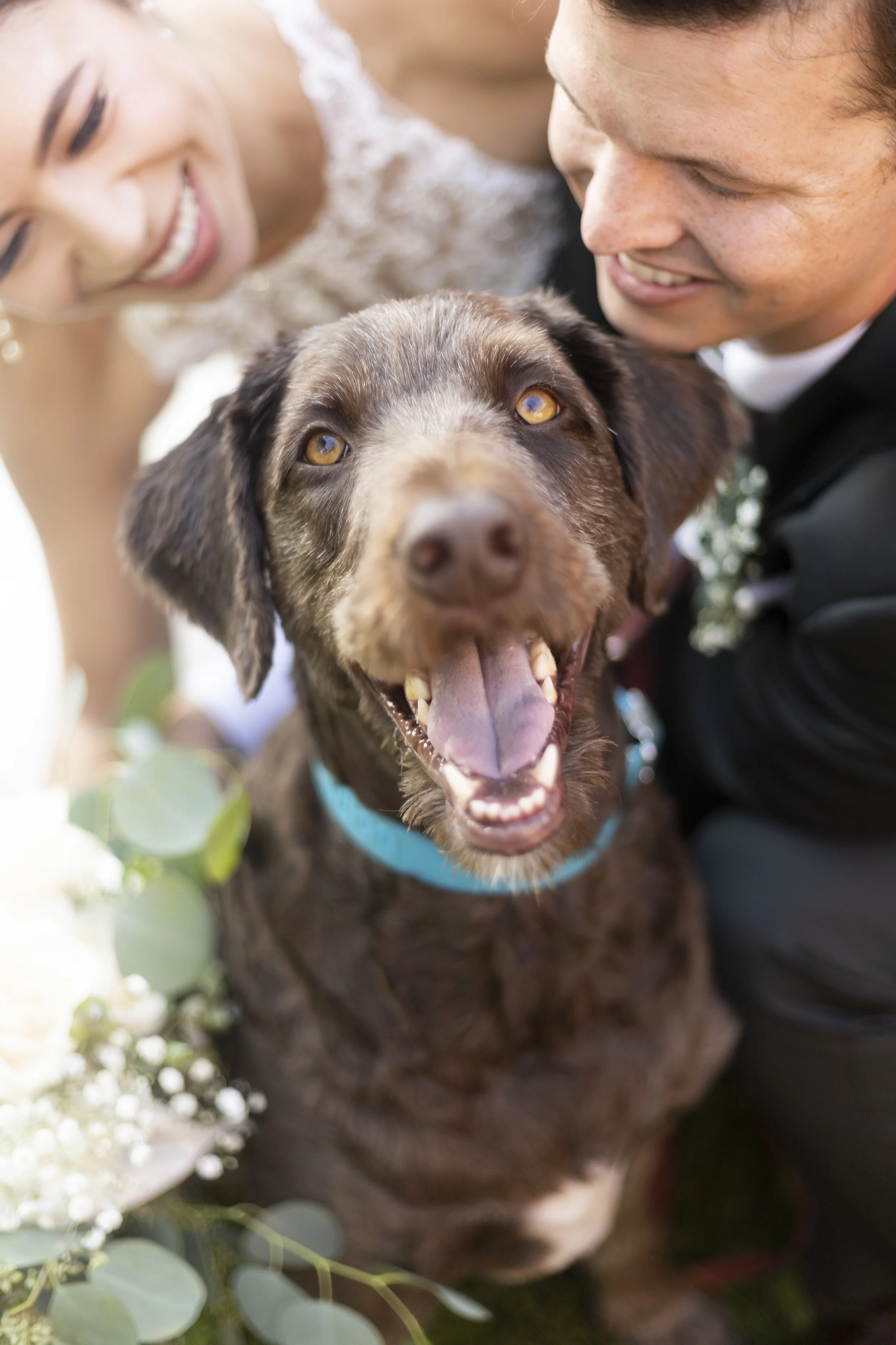 kmwedding2022_697 2.jpeg