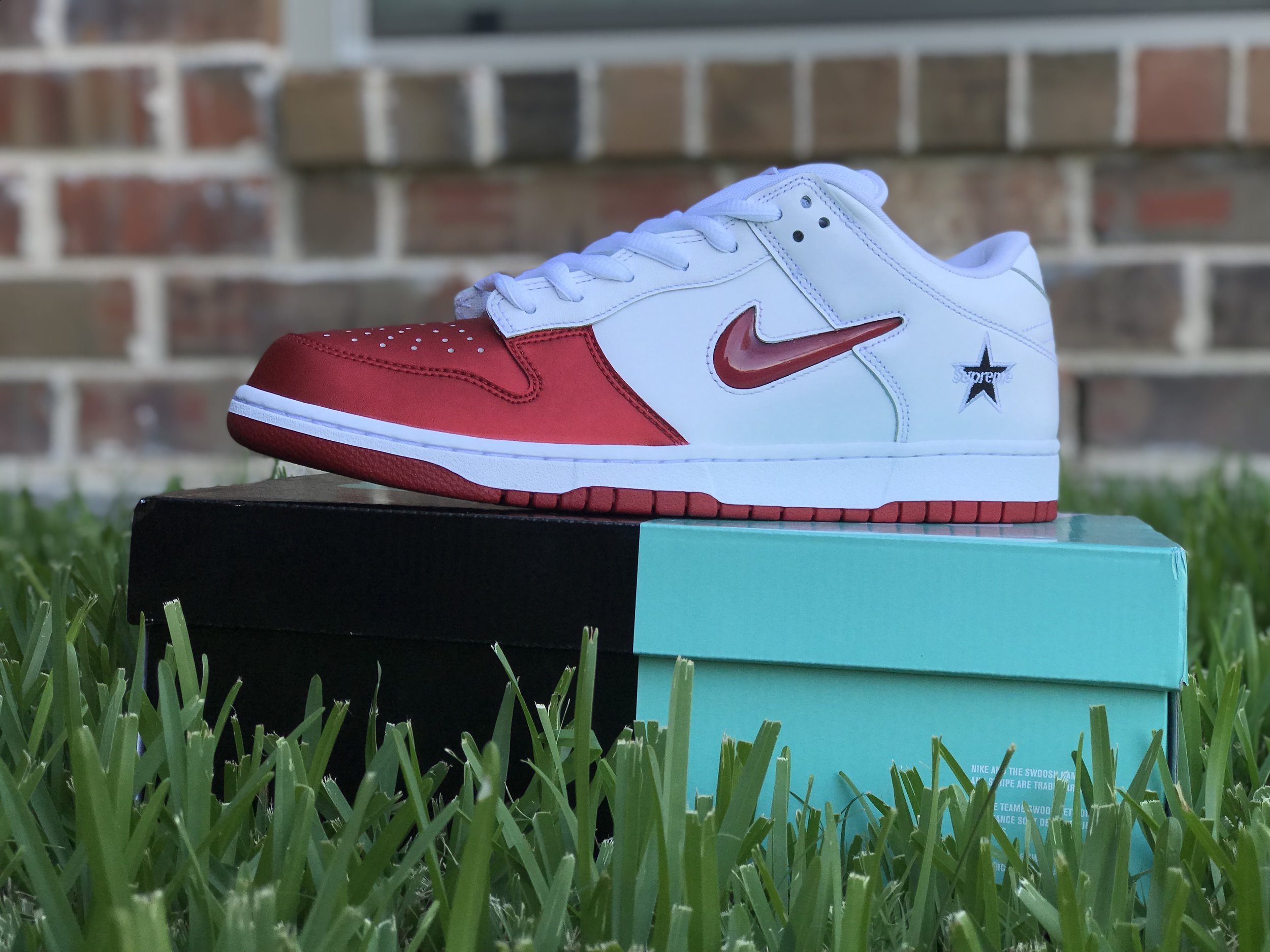 x Nike Dunk (2019) [Detailed Review] | The Retro Insider
