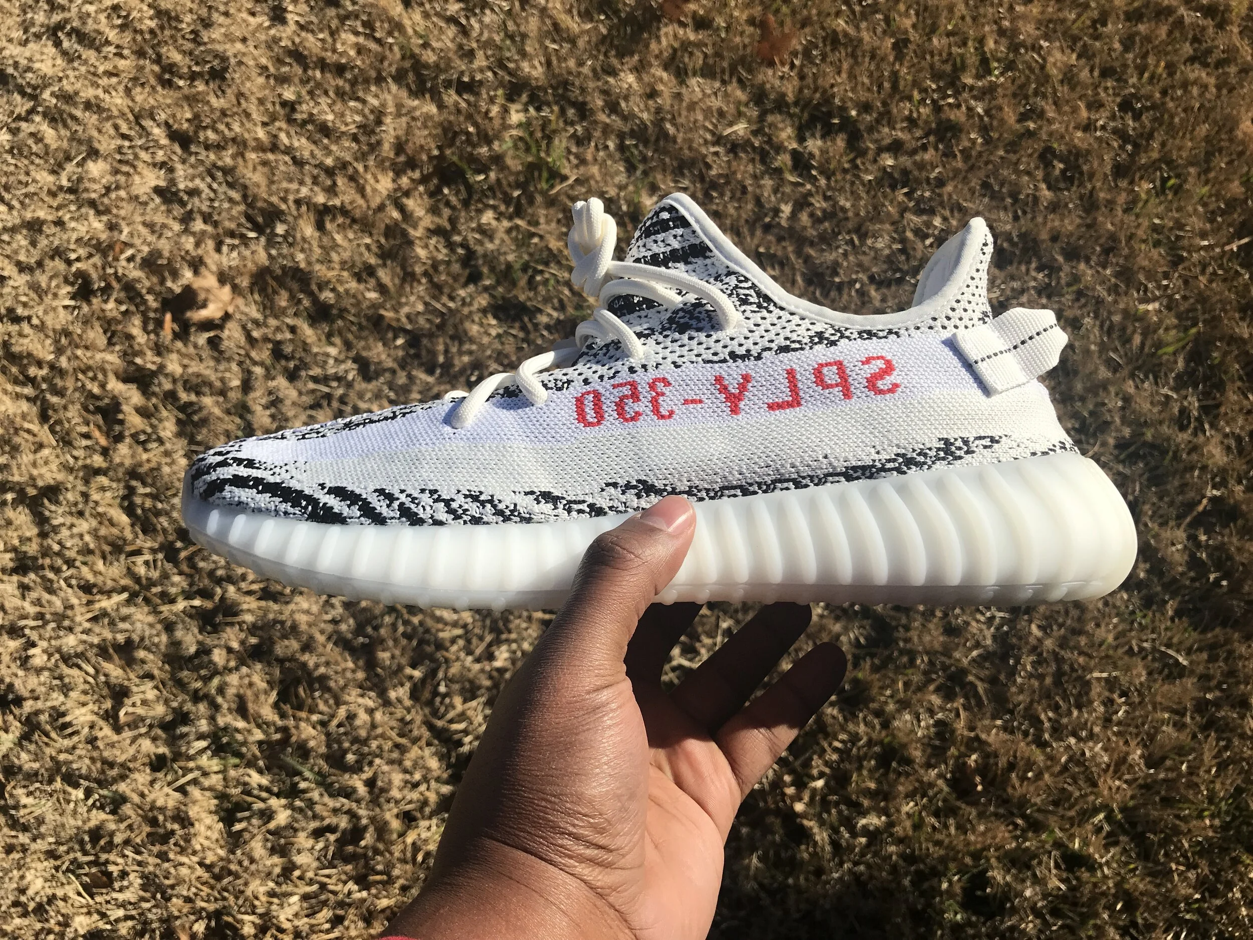 yeezy v1 zebra