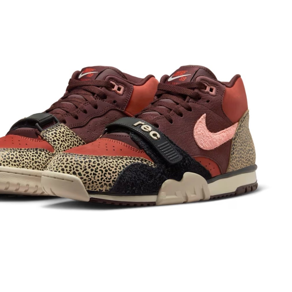 Arts-Rec x Nike SB Air Trainer 1
