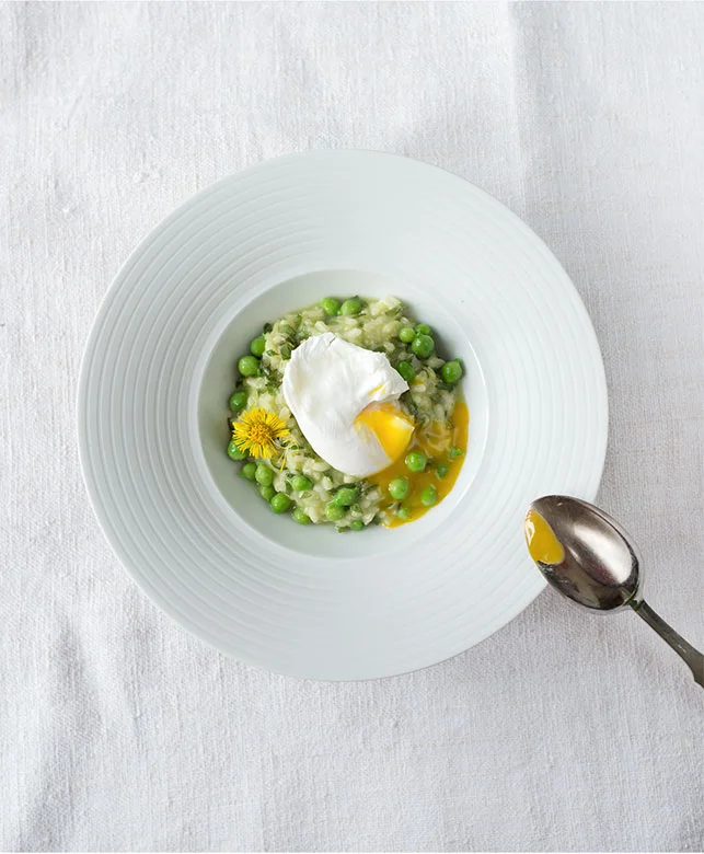 Salon Magazin . Wilde Küche