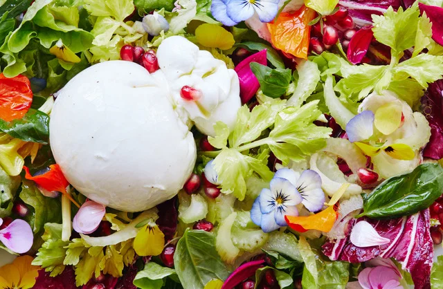 Salon Magazin . Salate