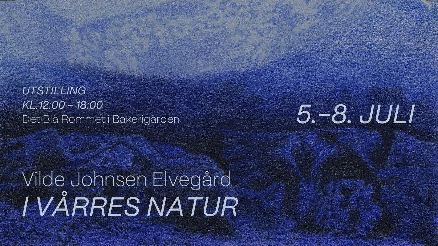 Utstilling i Bakerigården: I Vårres Natur, av Vilde Johnsen Elvegård
