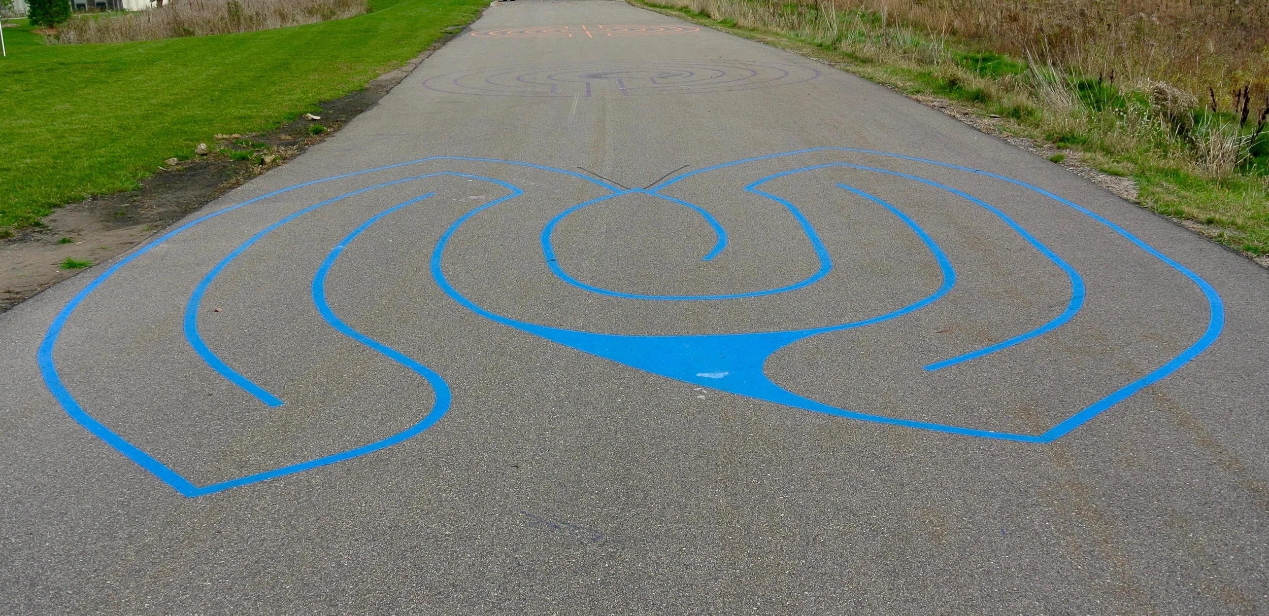 Blue Butterfly at Karner Education Center, Blaine, MN