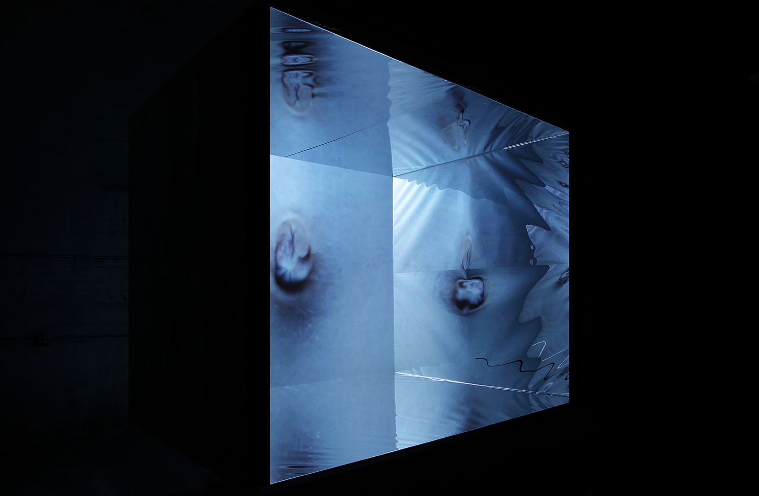05-the_physical_realm_video_installation.jpg
