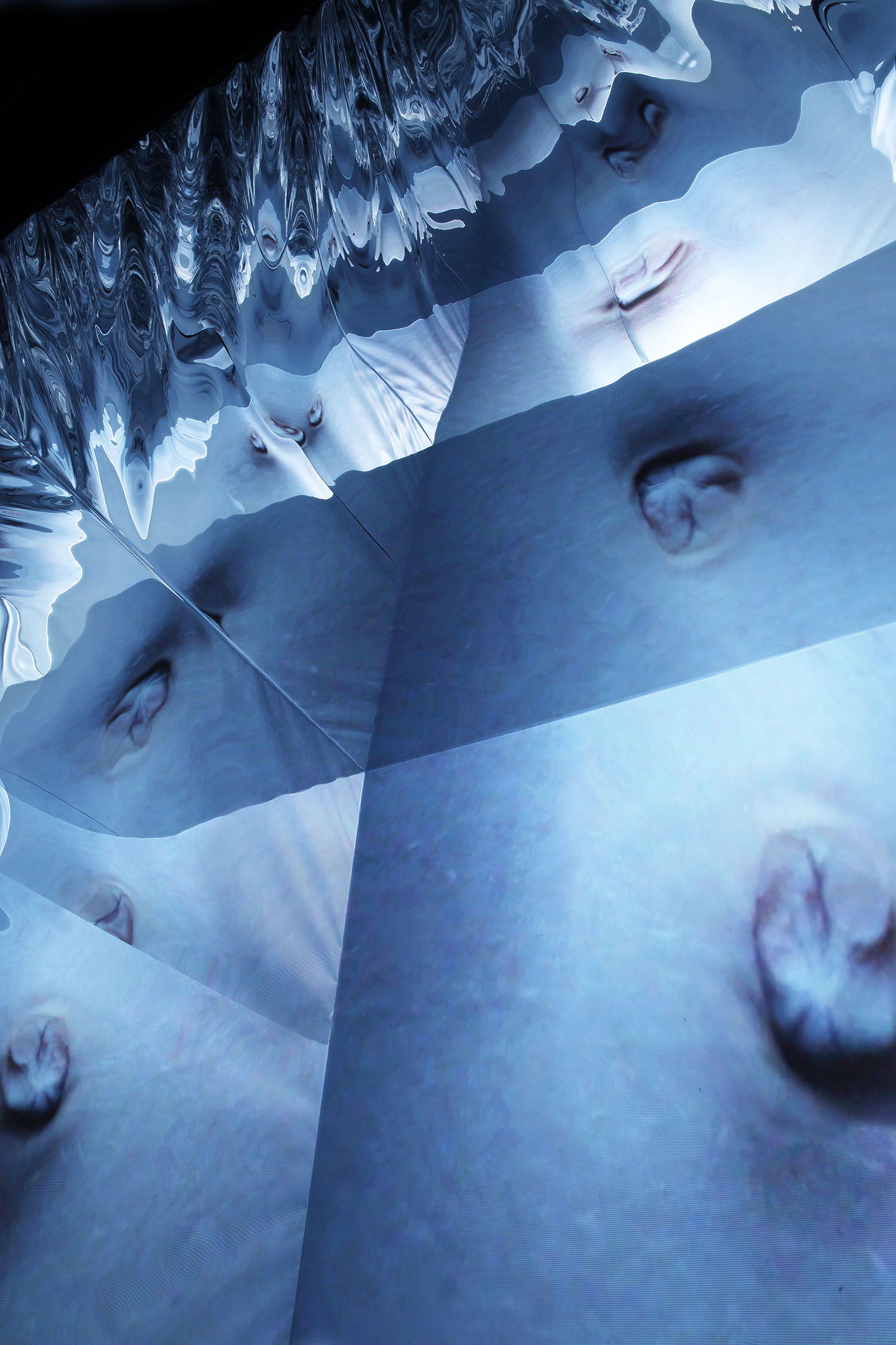 06-the_physical_realm_video_installation.jpg