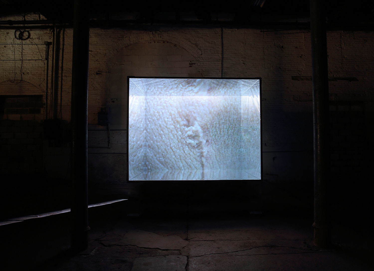 07-the_physical_realm_video_installation.jpg