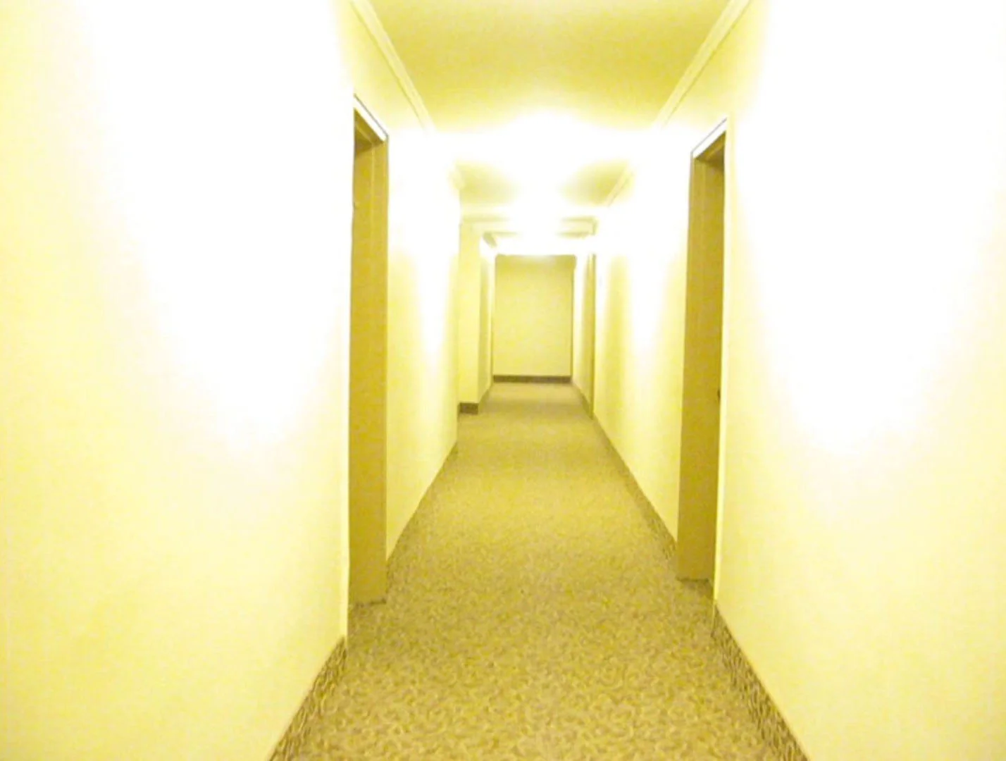 03-Within_Skin_still.jpg