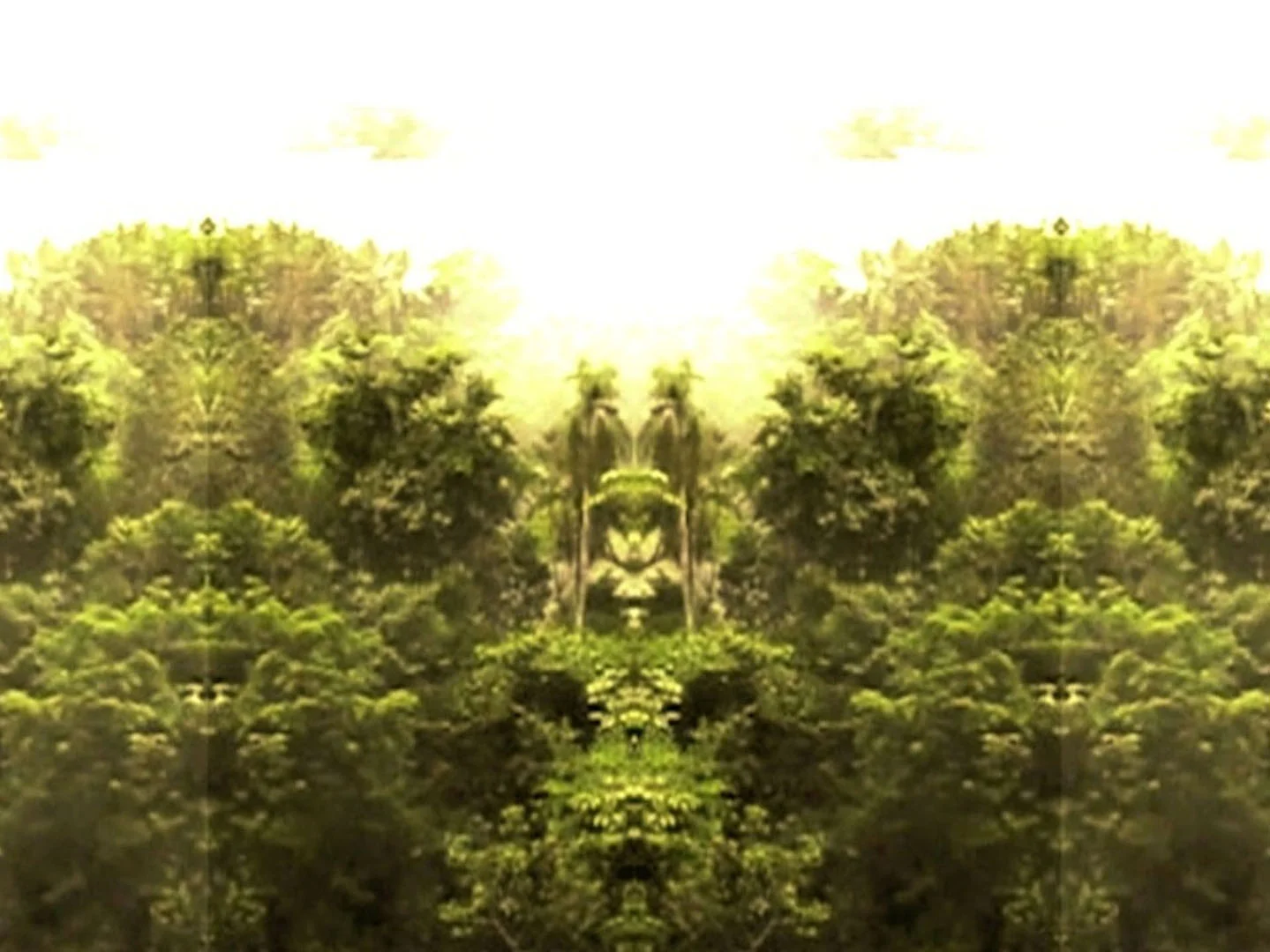 04_Continental_Drift_still.jpg
