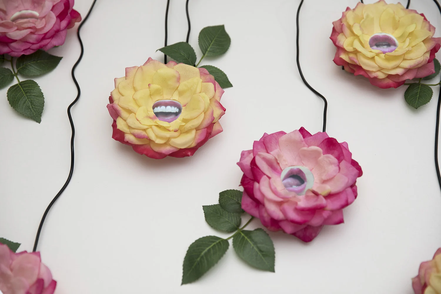 02_mystique_flower_lip_videos.jpg