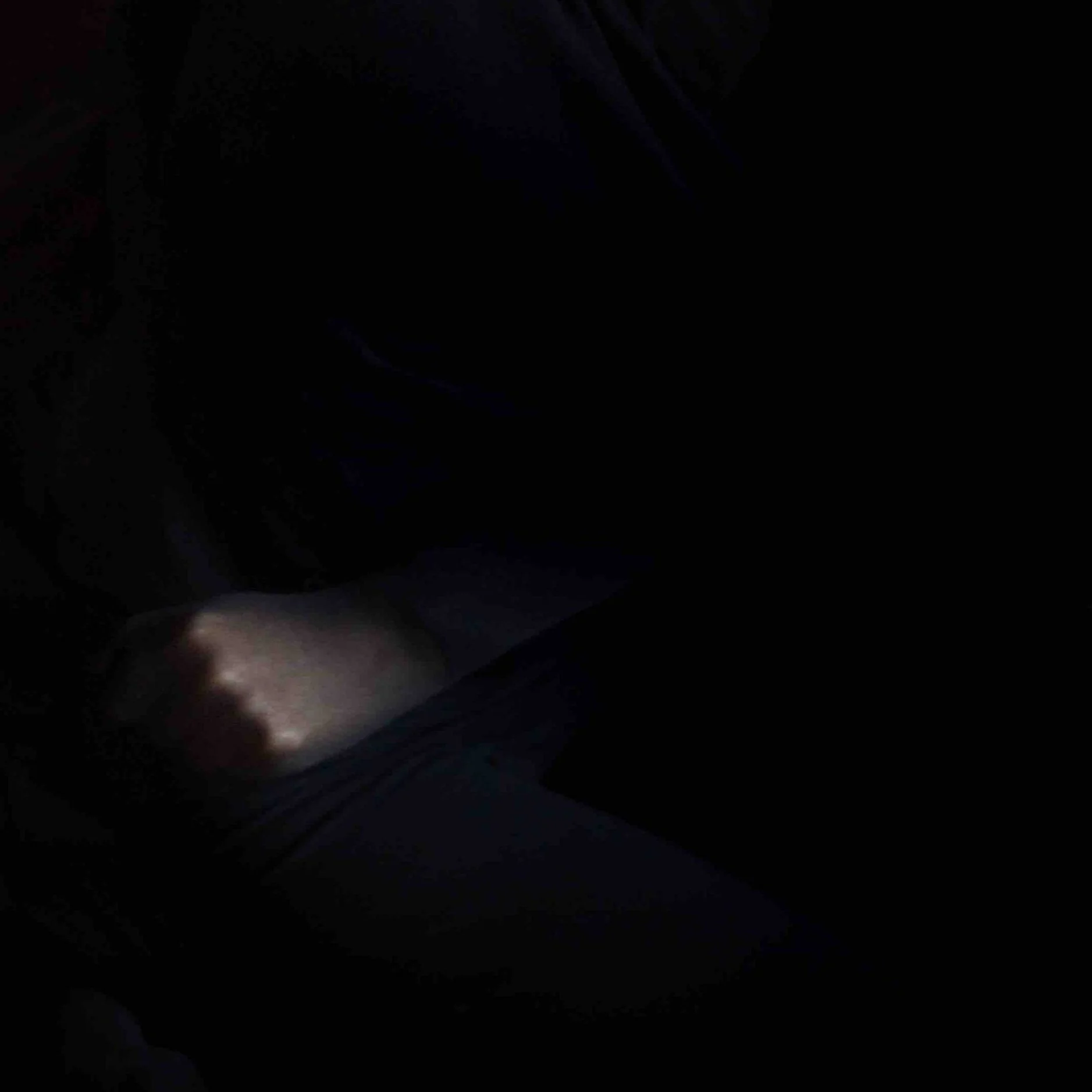 SLN%2B4.jpg