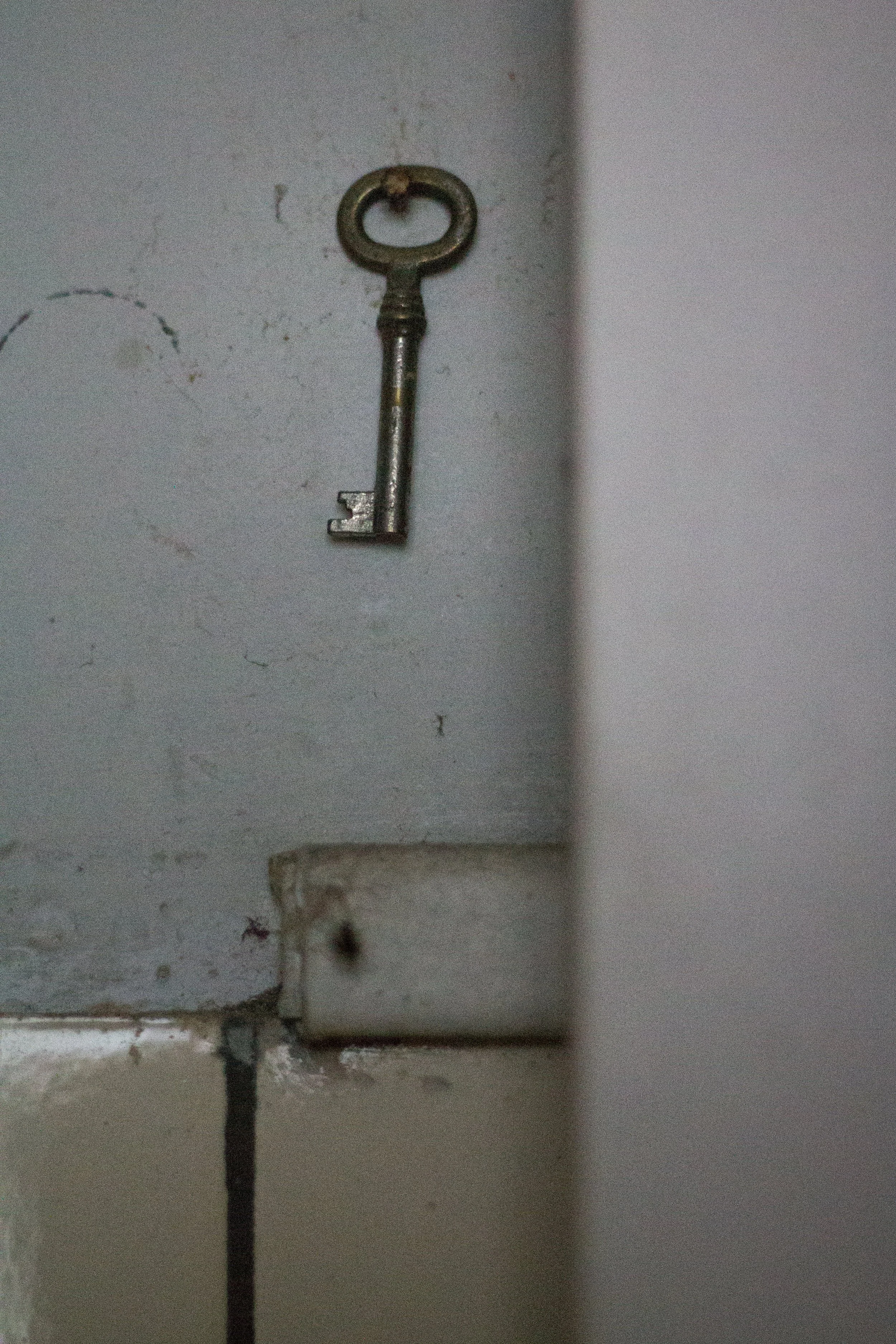 _MG_7023.jpg