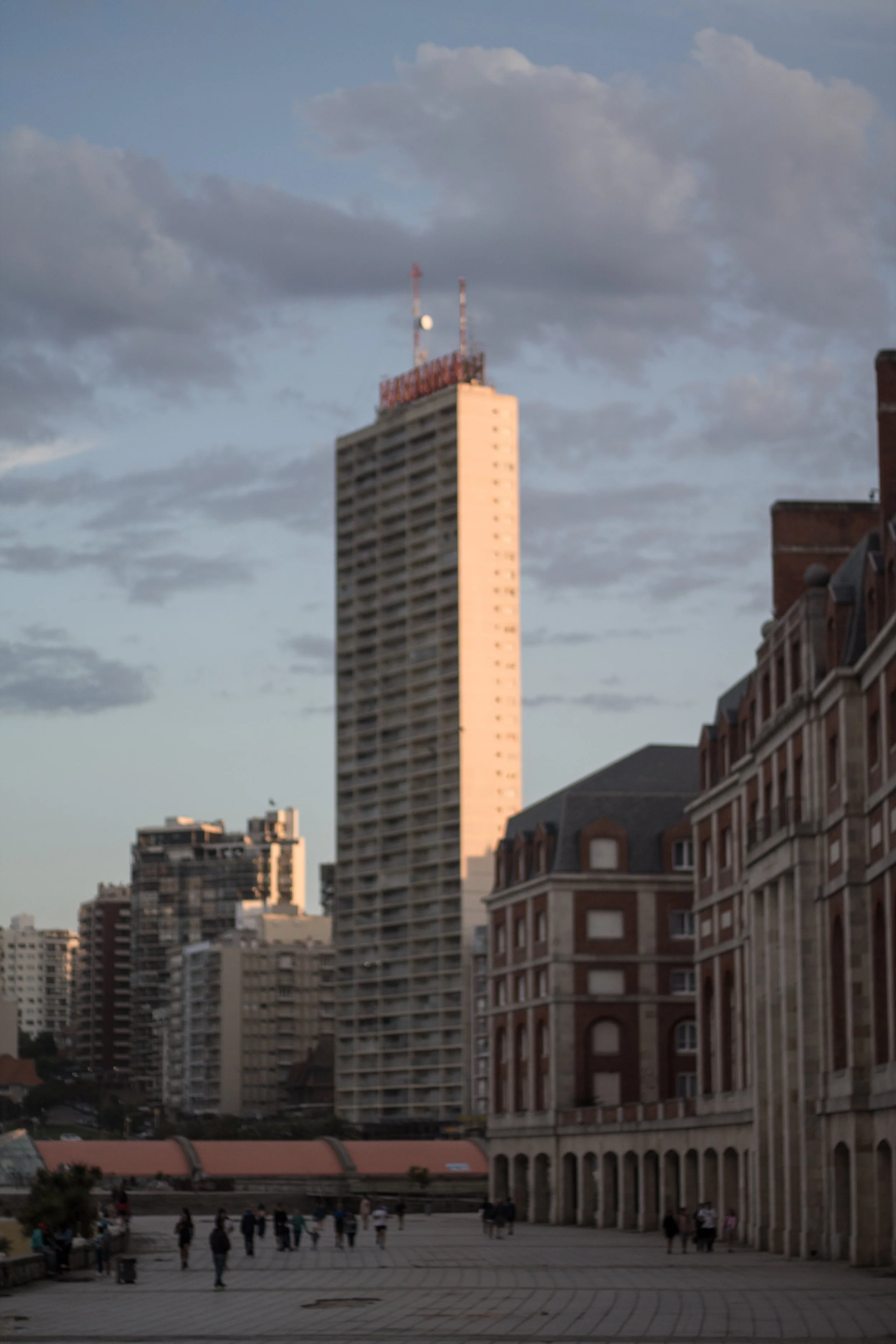 _MG_7101.jpg