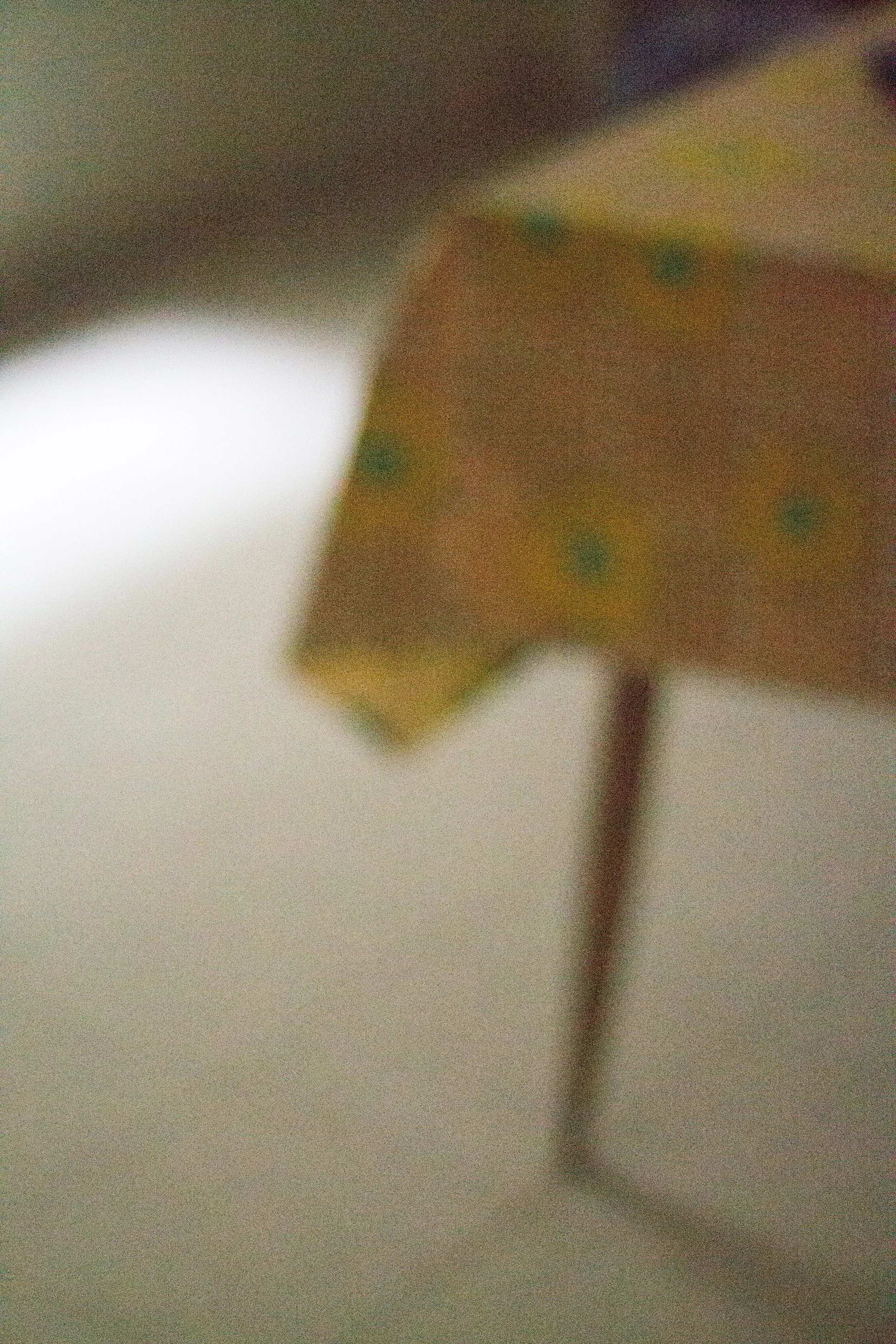 _MG_7024.jpg