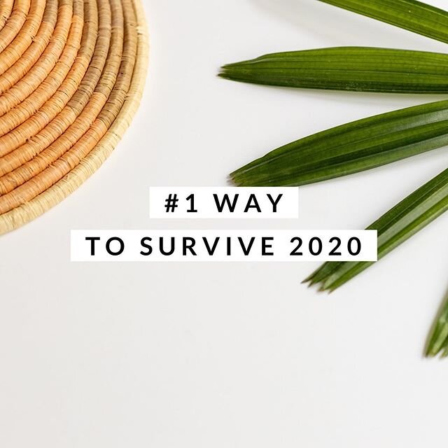 *New Blog Post* ⠀
⠀
Friends, figured it out.  I know the best way to survive 2020.  You might feel like this year is kicking you in the rear, but I know how to conquer it, kick it back, and show it who&rsquo;s boss.  Yup.  This is no scam.  You are m