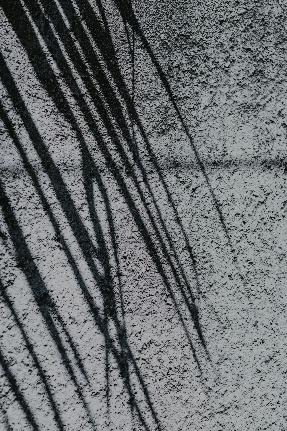 America's Heart Disease 