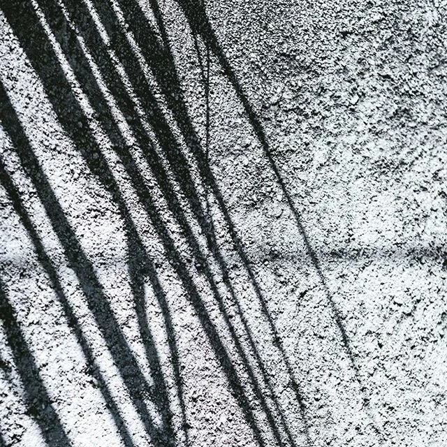 This is going to mess up my feed, but I don&rsquo;t care.  It needs to be black and white because we have an issue.  My black and white family has an issue.  This nation has an issue. ⠀
⠀
Friends, my heart hurts.  I&rsquo;m guessing yours does too. ⠀