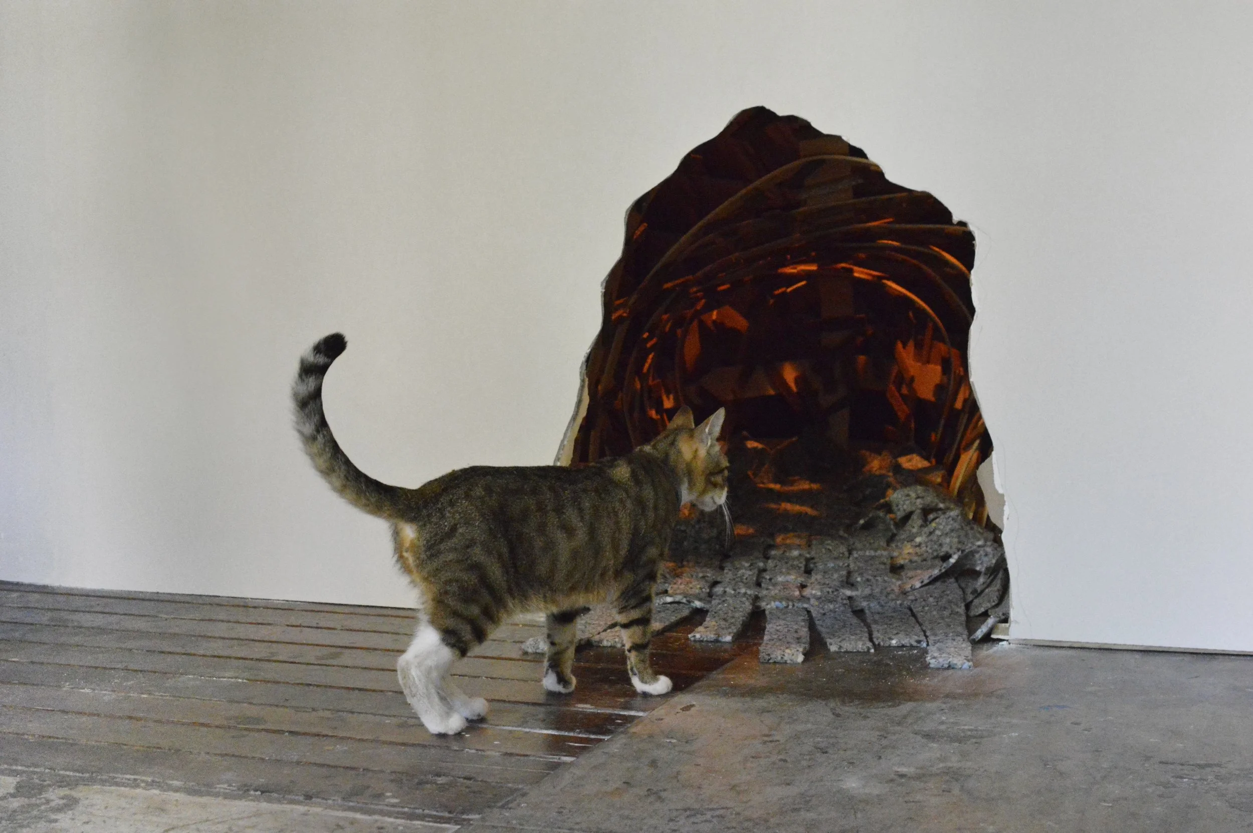 RebeccaChapman-MouseHouse-6 copy.jpg