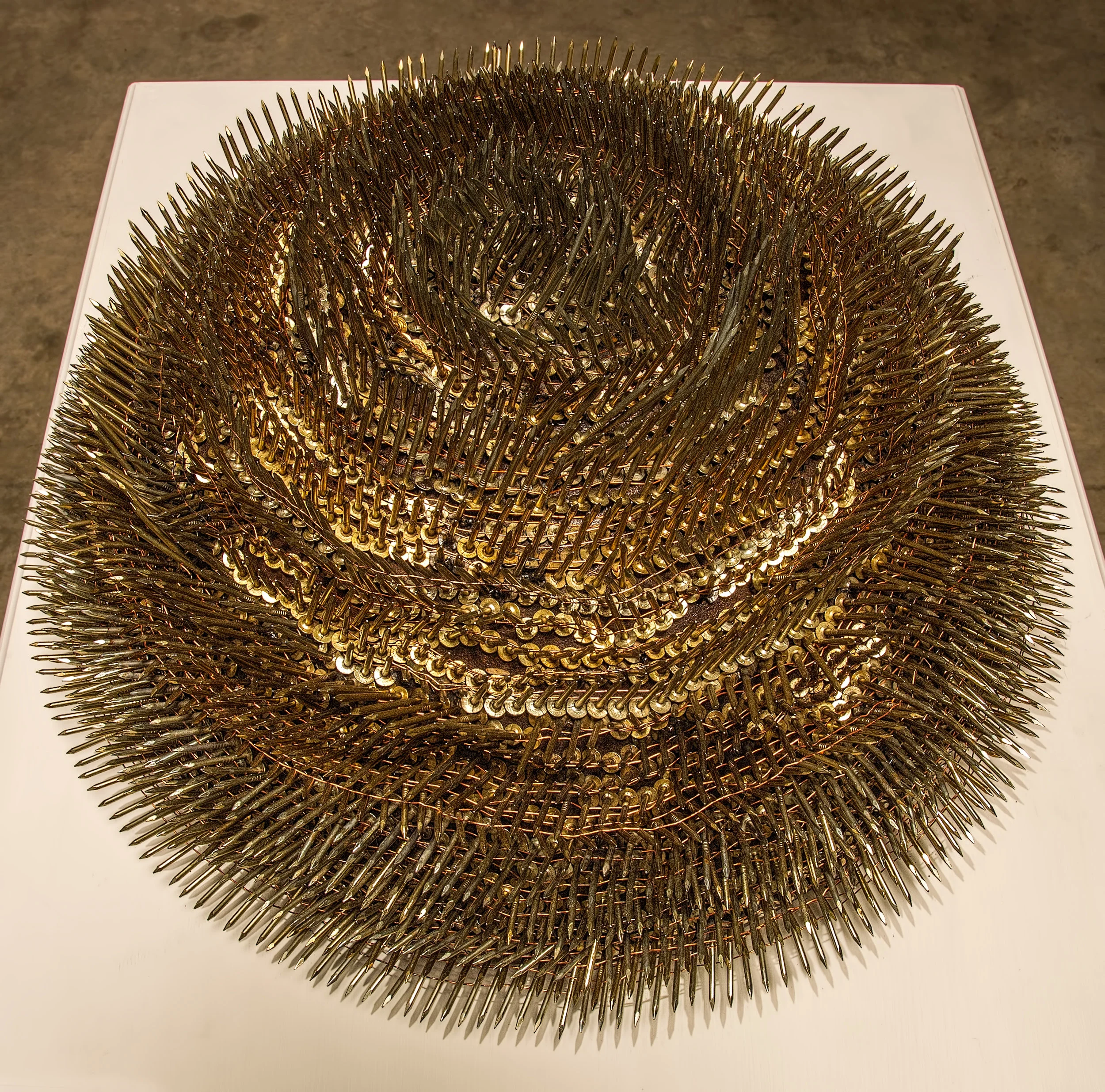 Echinoderm