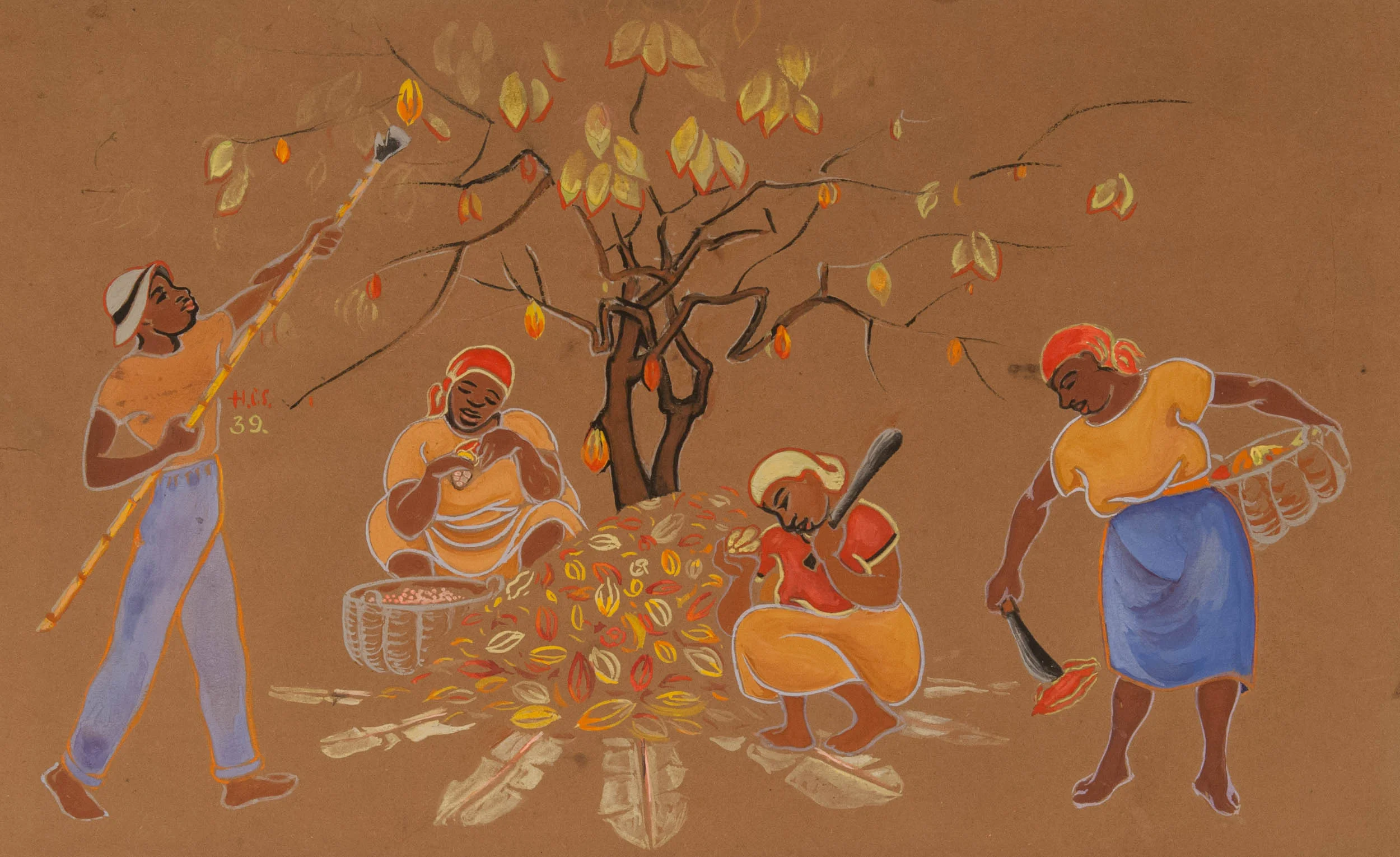 Picking Cocoa