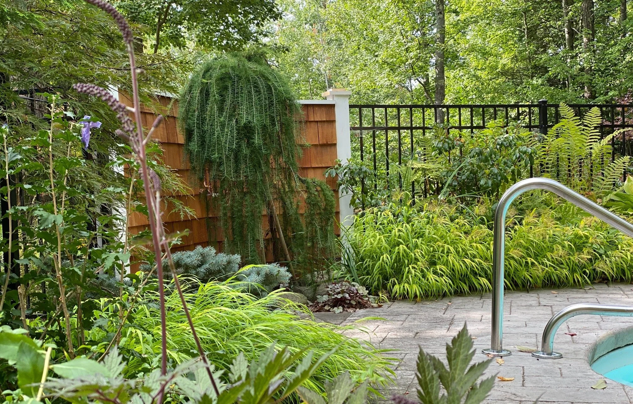 Poolside Plantings