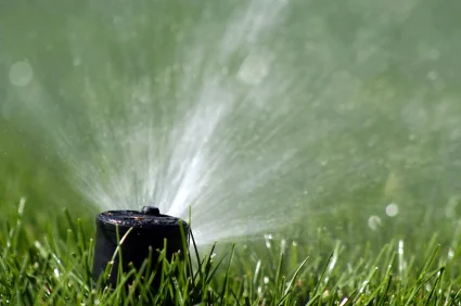 Lawn-Sprinkler.jpg