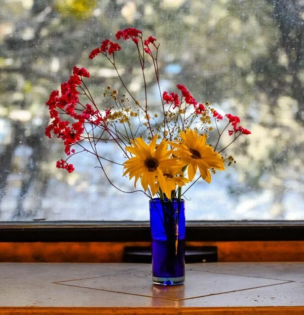 Snow cleanup-2-2.jpg