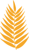 Palm 3.png