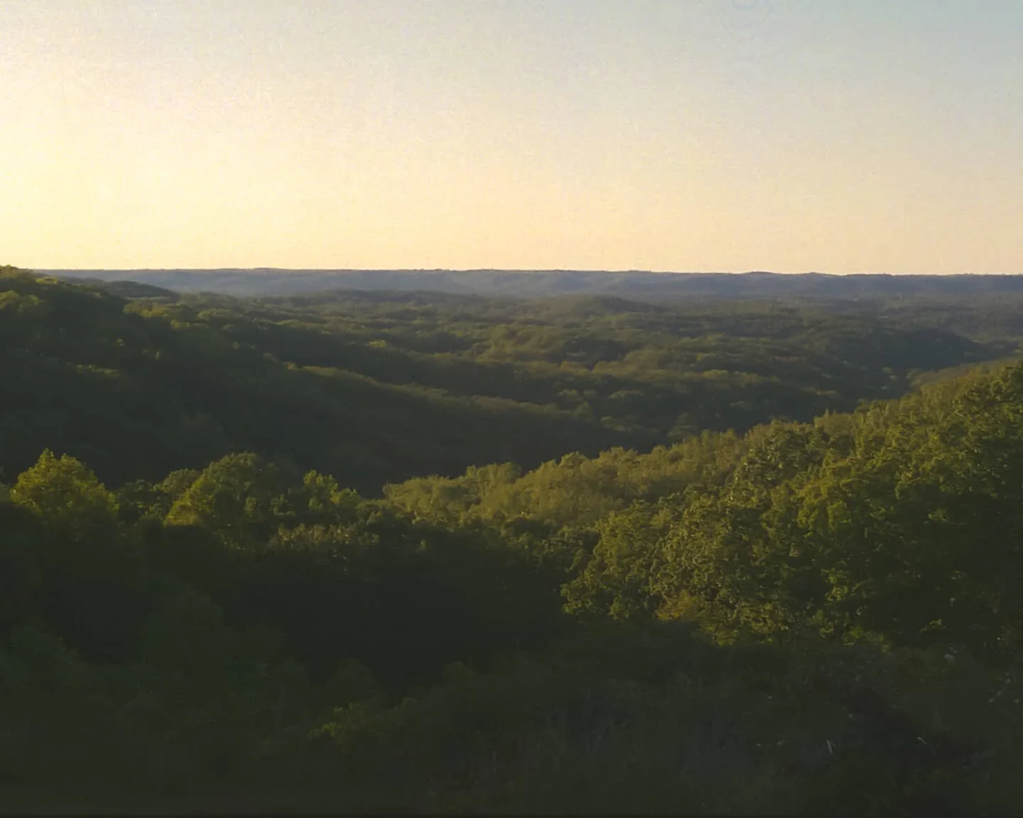 Sunset on a fall evening. Green as far as the eye can see.