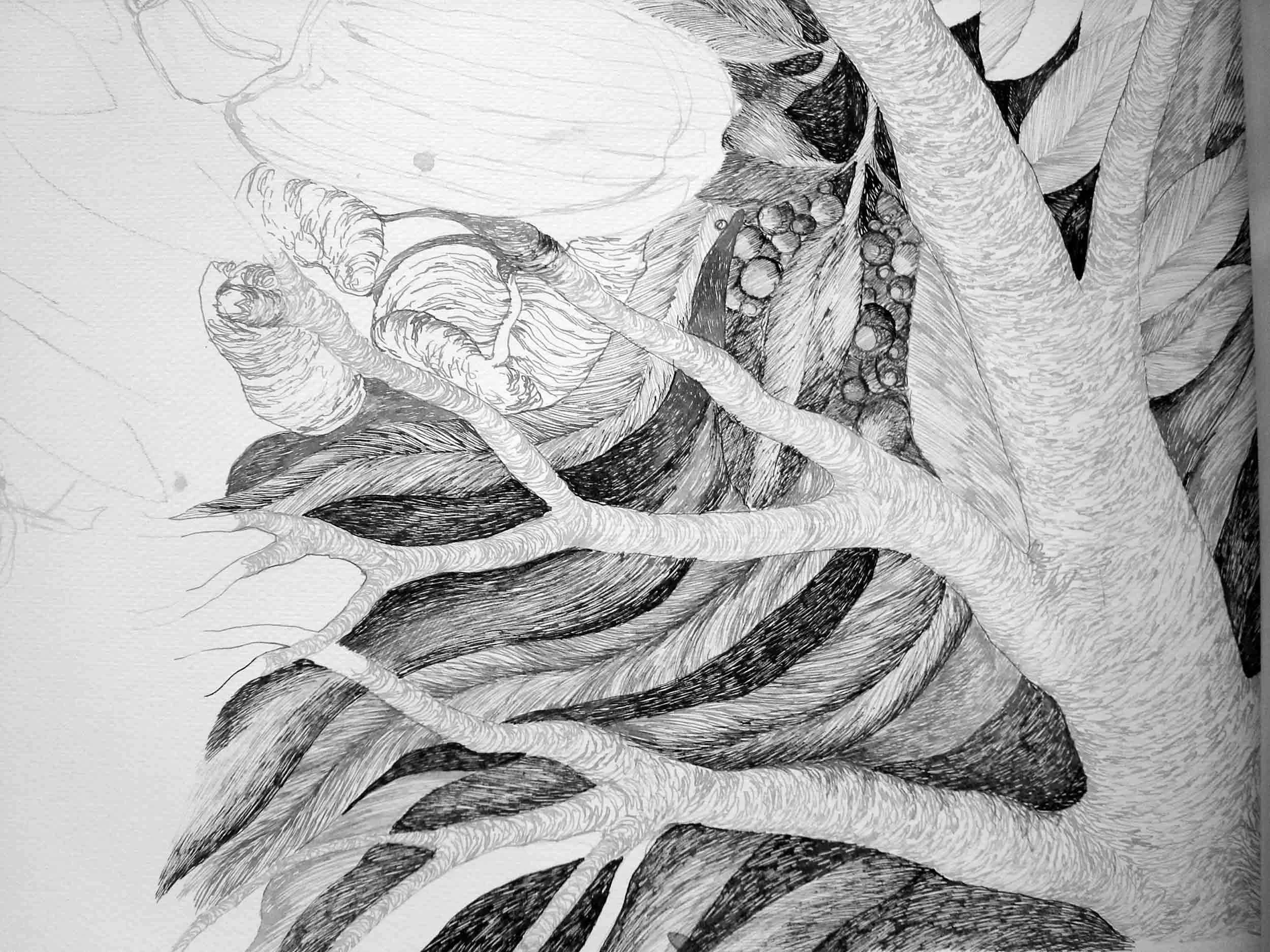 Madreselva-creative-process-3.jpg