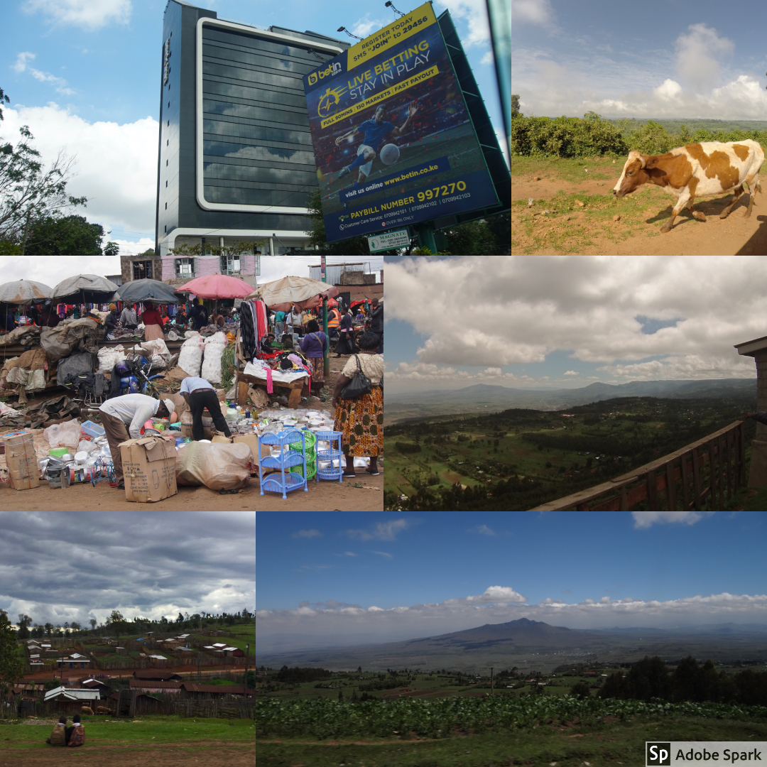 For many of our OWC trip members, this was the first time in a developing country. A resounding theme of our first day of travel was not how different everything felt, but how we could find similarity in our surroundings -- the trees, the animals, t