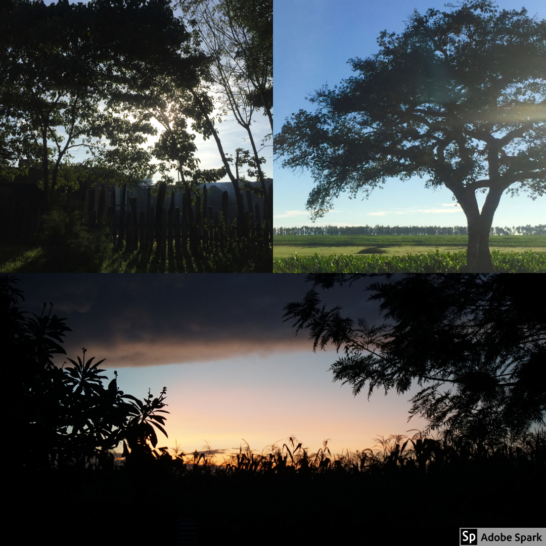  We woke up early in Eldoret to be at HIP Africa for morning announcements. These were some of the sights that we saw during that drive. We had beautiful sunrises and blue skies over green fields. 